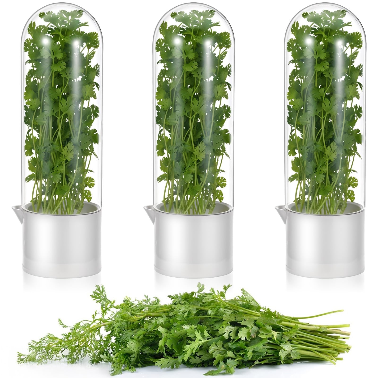 Afcabakila 3PCS Herb Saver for Refrigerator, Fresh Herbs Lettuce Keeper for R...