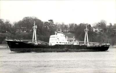 Foto Frachtschiff Repino - 4768648