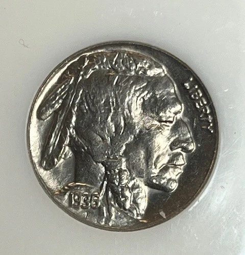1936-D Buffalo Gem Bu PCI Slab It Grades as Good Or Better Then on The Slab