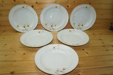 Rosenthal Siesta (6) Soup or Cereal Bowls, 8 3/4"