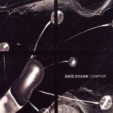Camphor (Instr.Best of) Ltd von David Sylvian | CD | Zustand gut - Bild 1 von 2