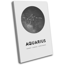 Constellation Aquarius Star Sign Starsign SINGLE CANVAS WALL ART Picture Print