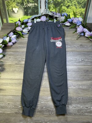 Edinboro University Sweatpants Size Small, Champion Gray 28