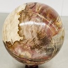 Natural Petrified Wood Polished Stone Quartz Crystal Sphere Ball Healing 3600G — photo 8