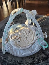 Ingenuity Spot Ultra Plush Baby Activity Gym and Tummy Time Mat, Corrie (Used)