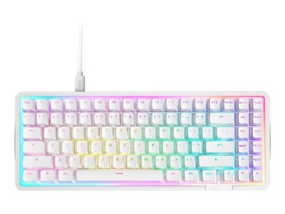 NZXT Funktion Elite Tastatur TKL Backlit USB QWERTZ Deutsch KB-101NW-DE