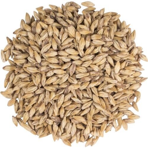 Bries Malting - 5 Lb American Carapils Malt - Homebrew Beer Brewing Grain - Picture 2 of 4