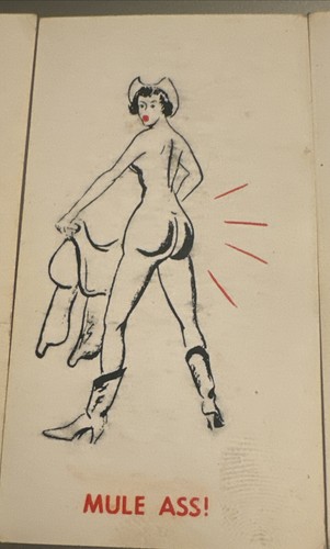 Vintage Study In ASStronomy Buttocks Butt Shapes on 15 Novelty Cards - Picture 3 of 17