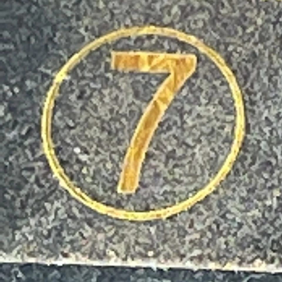 Tacón recortado Paprika para mujer marrón multicolor leopardo punta abierta cremallera 7 Foto 4 de 4