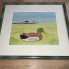 Foto 11 di 11