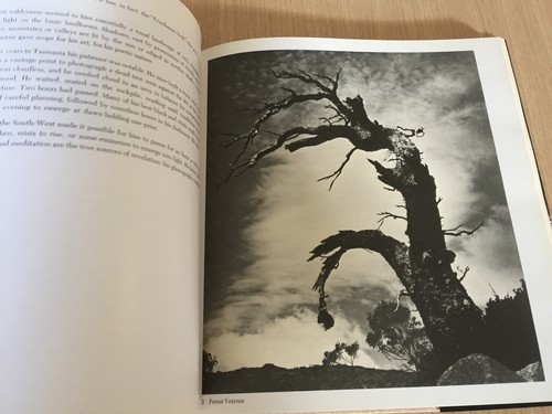 Max Angus - THE WORLD OF OLEGAS TRUCHANAS - Tasmanian Wilderness - HC Book - Picture 13 of 19