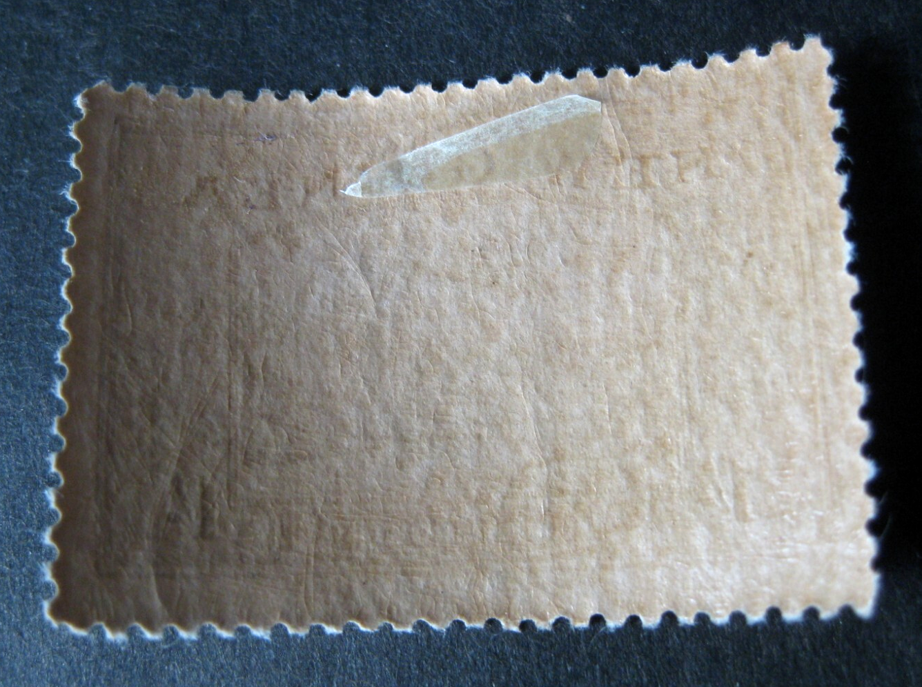 Foto 9 di 9