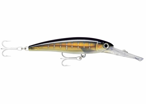 ARTIFICIALE RAPALA X-RAP MAGNUM TRAINA SPINNING NUOVI COLORI - Bild 39 von 40