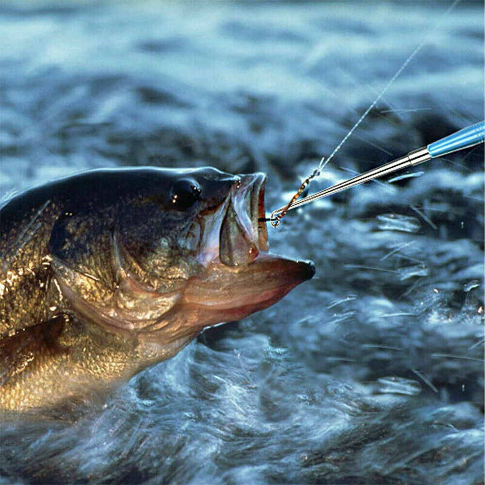 blue fin tuna fishing rod and reel Sea Fishing Gear Tuna Fishing Rod And Reel Fishing Gear Tuna Fishing Rod  And Reel Combos