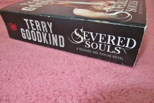 ROBERT JORDAN Build-A-Lot + GEORGE R.R. MARTIN Game Of Thrones + TERRY GOODKIND - Foto 192 di 228