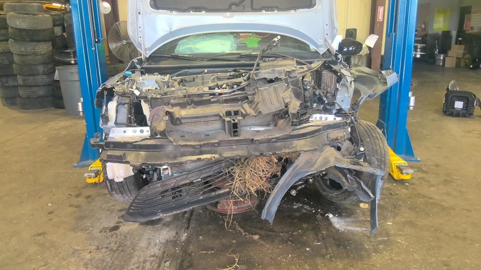 CIVIC     2024 Flywheel/Flex Plate 1115896 - Image 2 of 4