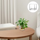 Cube Glass Vase Clear Flower Container Desktop Hydroponic  Modern Vase (10x10cm)