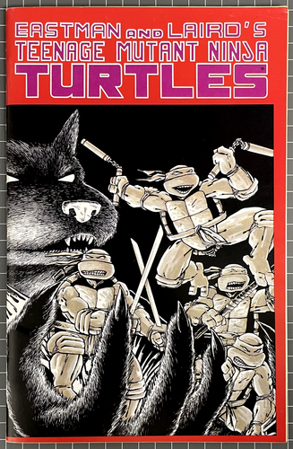 TEENAGE MUTANT NINJA TURTLES #1 5TH PRINT (1988) TMNT VF- - 第 1/6 張圖片