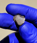 Rare NWA 16875 Winonaite Meteorite 1.654g End Cut | Last Classification Material — photo 2
