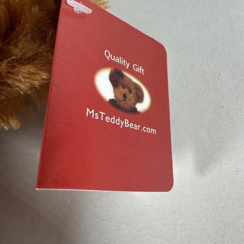 Ms Teddy Bear Plush Brown White Shirt Ovarian Cancer Alliance Cincinnati 9" - Picture 7 of 10