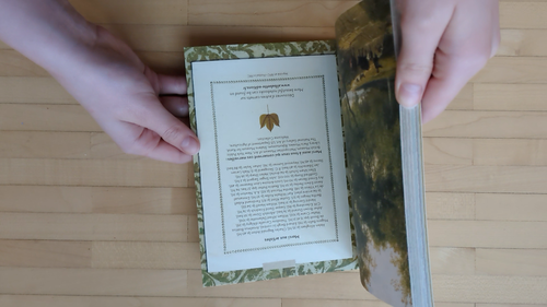 Illustriertes Notizheft A5: En forêt In the woods Wald Tiere Nostalgie Tagebuch - Video 1 von 1