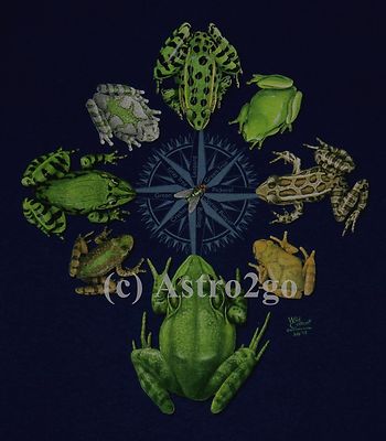 FROG CIRCLE-Bull Leopard Tree Peeper Amphibian Science Nature T shirt size S-2XL