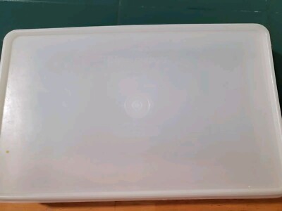 Vtg. Tupperware Sheer 794-1, 795-2 Deli Meat/Bacon/Snack Keeper 11x7x2 Container