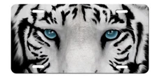 White Tiger Blue Eyes Aluminum Vanity License Plate Tag New 6 x 12