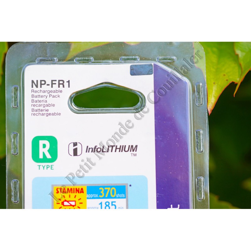 Batterie NP-FR1 Sony Haute Durée avec Technologie InfoLithium R de 4,4Wh sans Effet Mémoire
