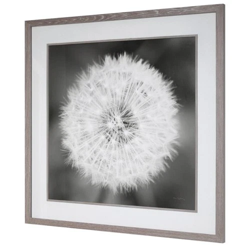 Uttermost Dandelion Seedhead Wood and Glass Framed Print in Black/White - Picture 3 of 9