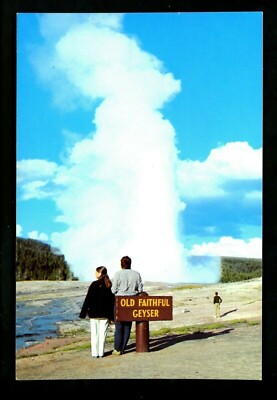 Wyoming WY postcard Old Faithful Geyser Yellowstone National Park