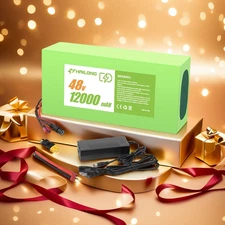 48V 12Ah Battery EBIKE Battery lithium battery for 0-1000W Motor