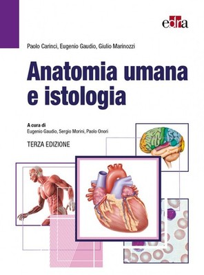 Menschliche Anatomie und Histologie - Carinci Paolo, Gaudio Eugenio, Marinozzi Giulio