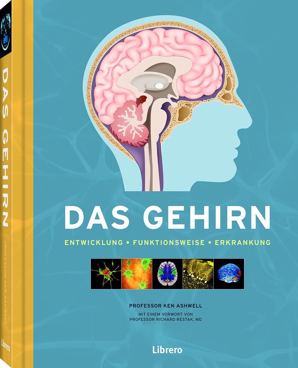 Thumbnail - Das Gehirn | Das Gehirn Und Die Psychische Gesundheit | Ken Ashwell |