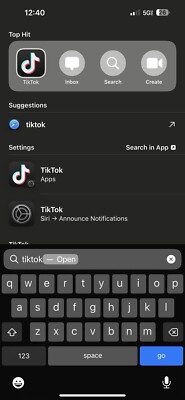 iPhone 14 Pro Max With TikTok 