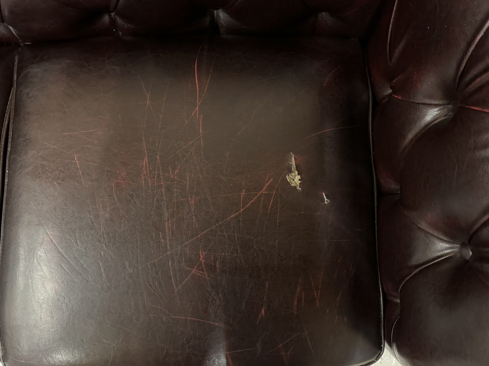 chesterfield sofa 2 seater eBay