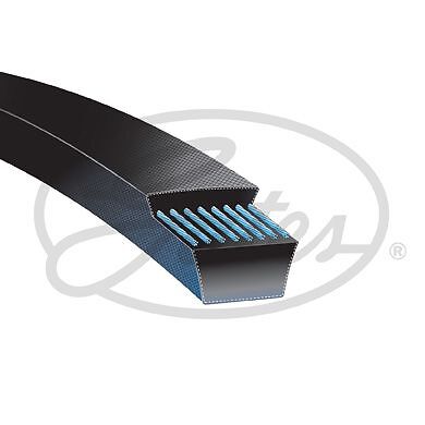 Cinghia trapezoidale - GATES 6263LM