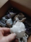 crystals rocks fossils minerals quartz crystal — photo 2