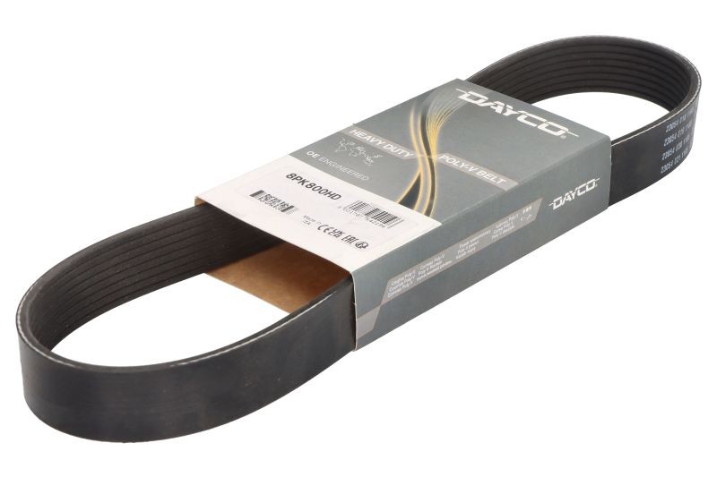 DAYCO 8PK800HD Keilrippenriemen Keilriemen - Bild 3