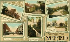 Antique Postcard Sheffield England University Park Artistic