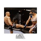 Georges St-Pierre Autographed 16x20 Photo - PSA/DNA (Silver Ink)