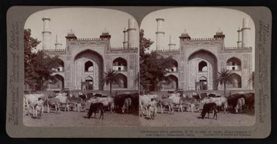 India Marvelously inlaid gateway, n.w. to tomb of Akbar, Mogul em - Old Photo