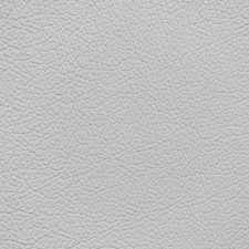 Nissan Steel Leather Dye