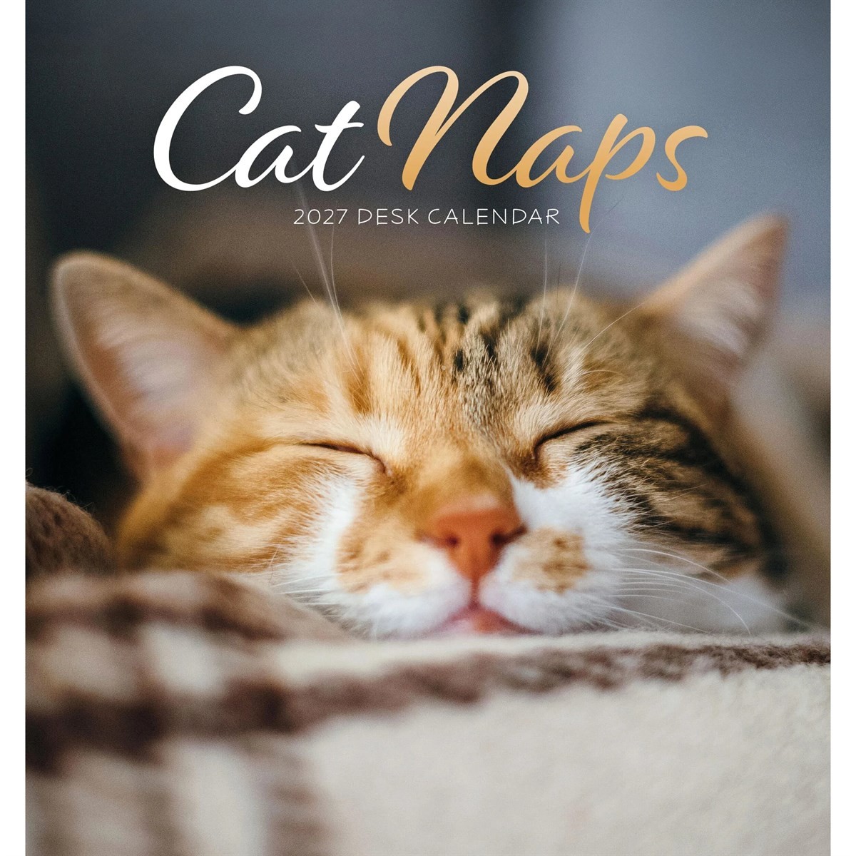 Cat Naps Easel Desk Calendar 2027, Desk Calendars, Month To View, Cats, Gift