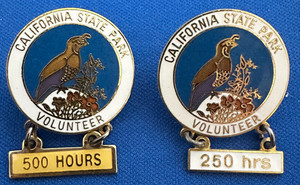 2 Vintage California State Park Volunteer Lapel Pins - 500 Hours - 250 Hours