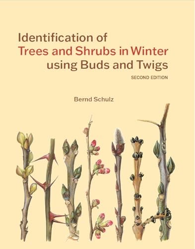 Identification Of Trees & Shrubs In Wint - Image 8