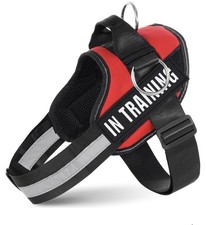 XL No Pull Dog Harness (in Training / Do Not Pet Attachments)