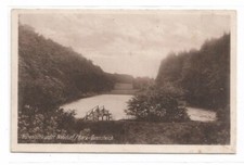 11088- Neudorf/ Harz Grenzteich