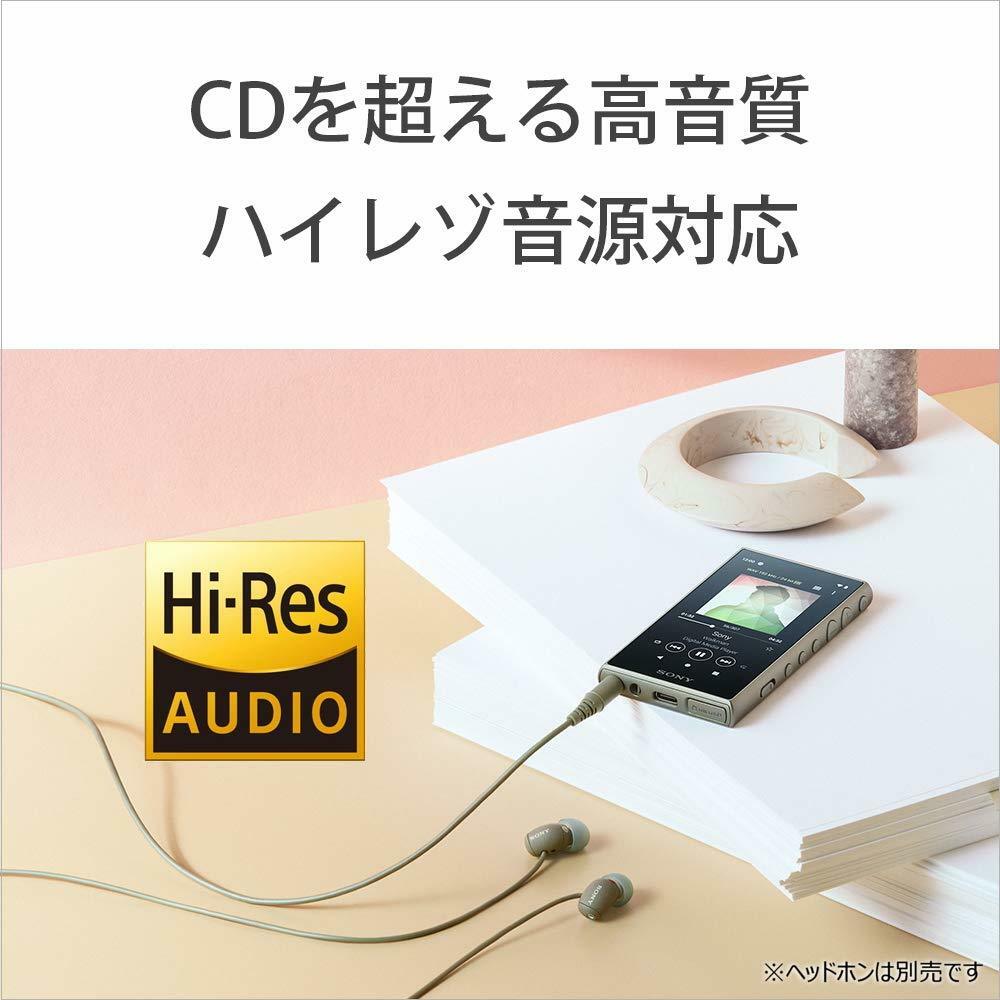 WALKMAN　NW-A106 SONY NW-A106 Digital Walkman | eBay