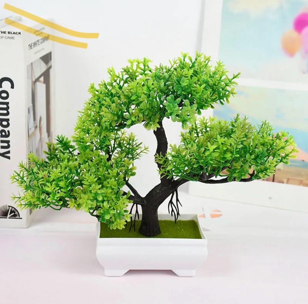 Bonsai Tree eBay